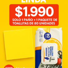 Pack toalla humeda cocina mas paño absorvente amarilllo